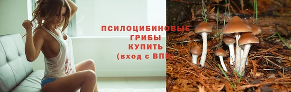 спайс Горняк