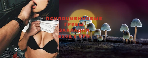спайс Горняк
