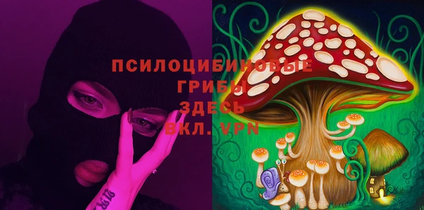mdma Горнозаводск