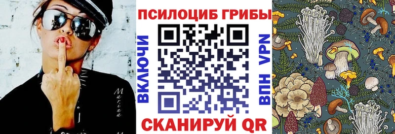 Галлюциногенные грибы Psilocybe  маркетплейс как зайти  Лебедянь 